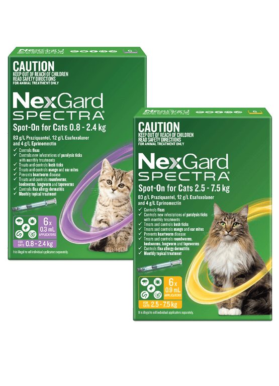 Nexgard spectra for cats - portrait