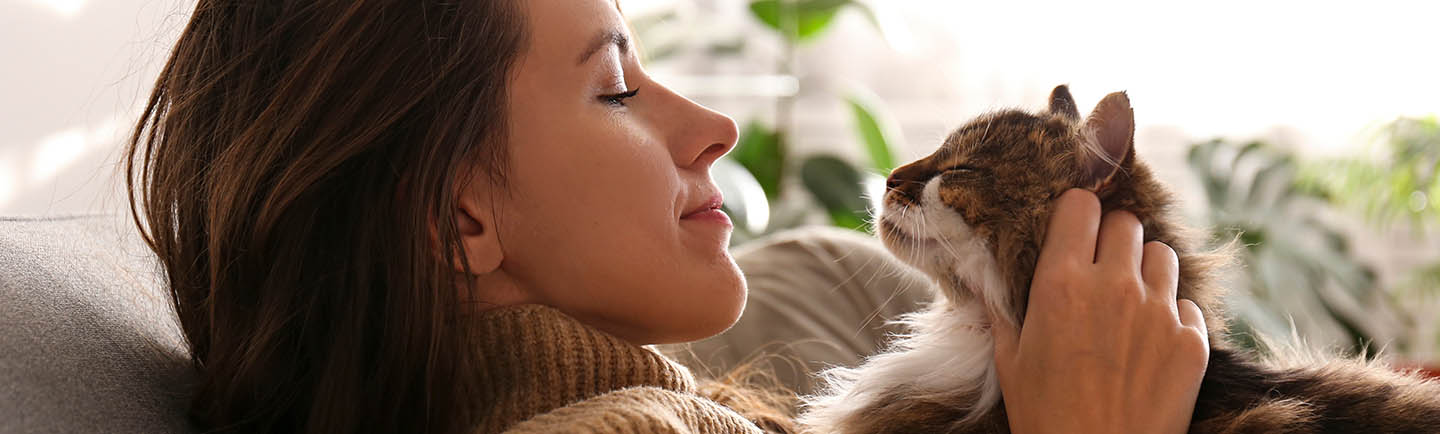Female hugging her cute long hair kitty. Background, copy space, close up. Adorable domestic pet concept.