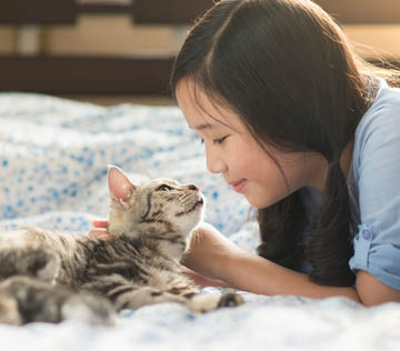 Kitten schedule vaccinations mobile