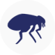 flea icon