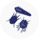 mites icon