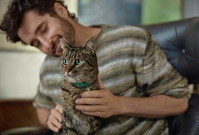 -a-man-patting-a-cat-on-his-lap