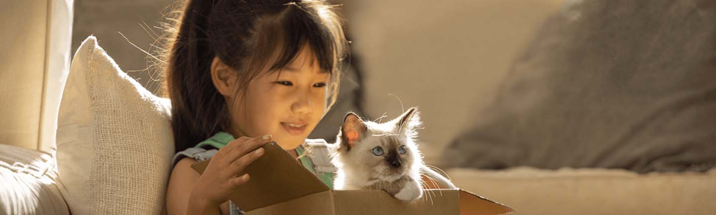 Cute-girl-playing-with-a-small-kitten-in-a-carton-box