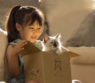Cute-girl-playing-with-a-small-kitten-in-a-carton-box