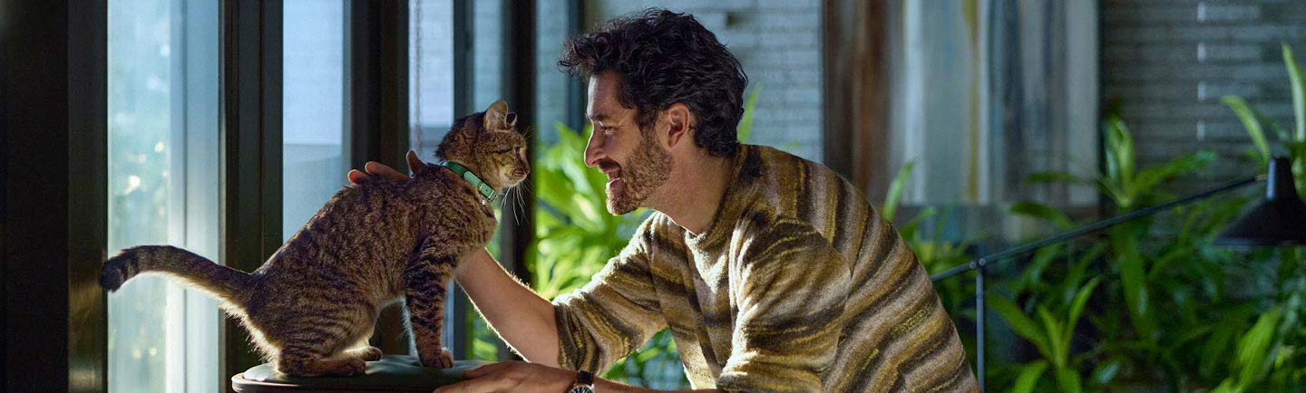 cat-on-tower-with-a-man