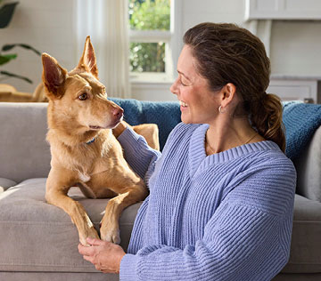woman-patting-her-dog-on-a-couch