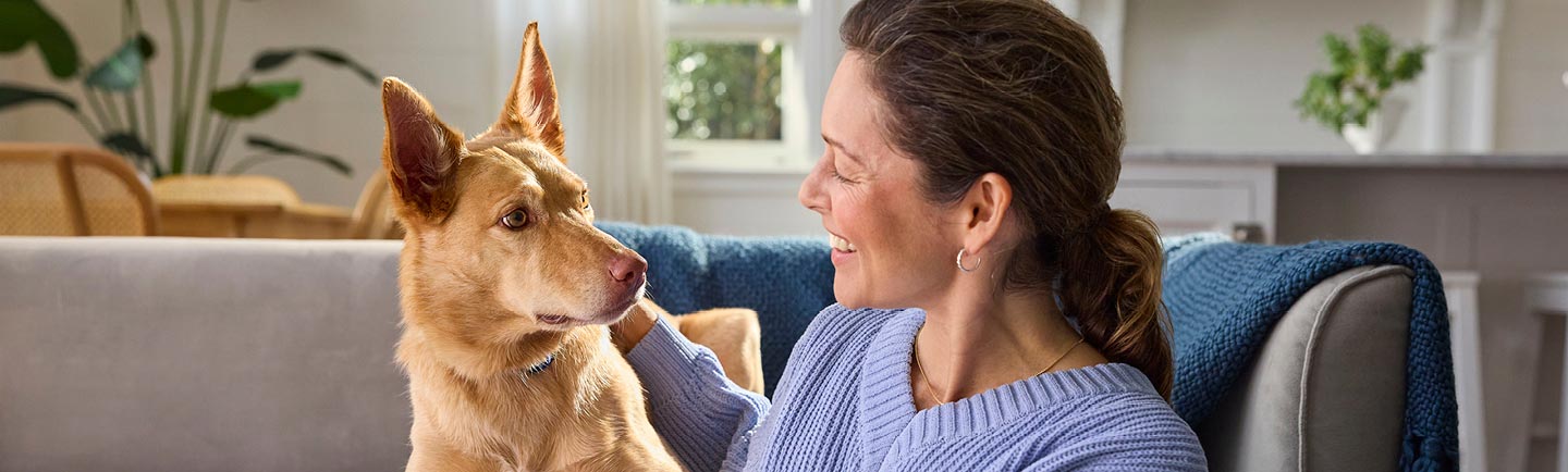 woman-patting-her-dog-on-a-couch