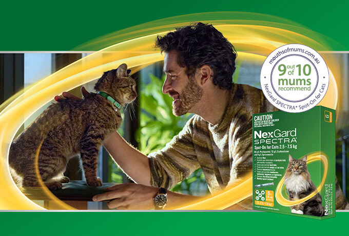  9-out-of-10-cat-parents-recommend-NexGard-SPECTRA