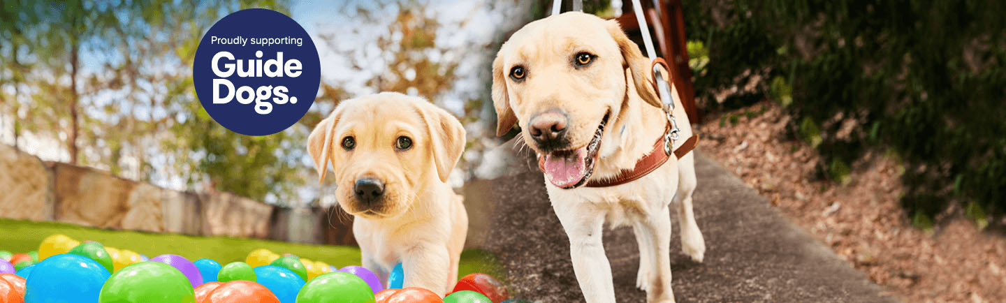 Guide Dogs NexGard Spectra