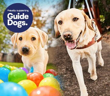 Guide Dogs NexGard Spectra