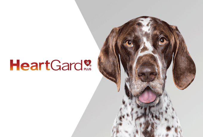 Heartgard Product Label