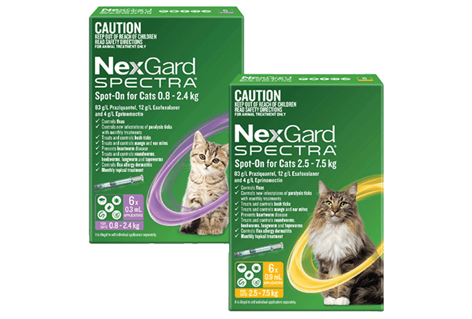 NexGard for Spectra for Cats Packs