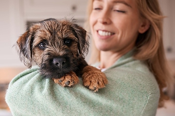 A smiling pet owner holding their healthy small dog at home, illustrating the positive lifestyle and care possible for dogs living with diabetes