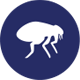 Fleas icon