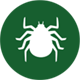 NexGard Spectra for Cats - Protection against paralysis ticks, bush ticks and brown dog ticks on cats