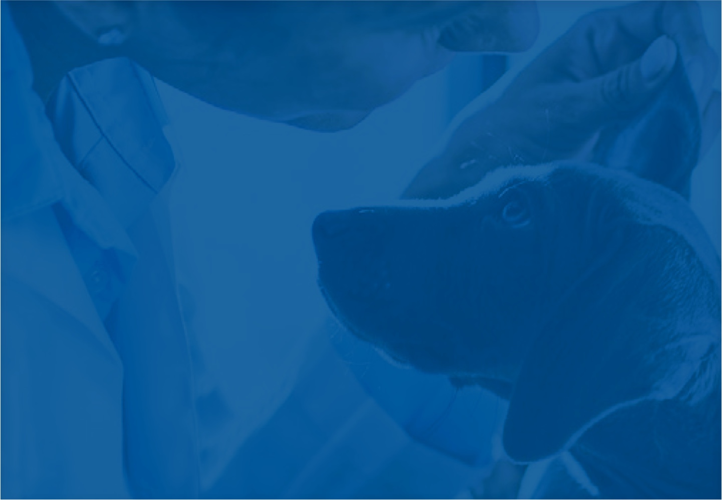 Home Page background