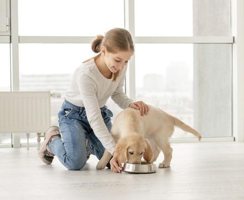 can you get worms from dogs