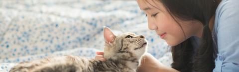 kitten scheduled vaccinations