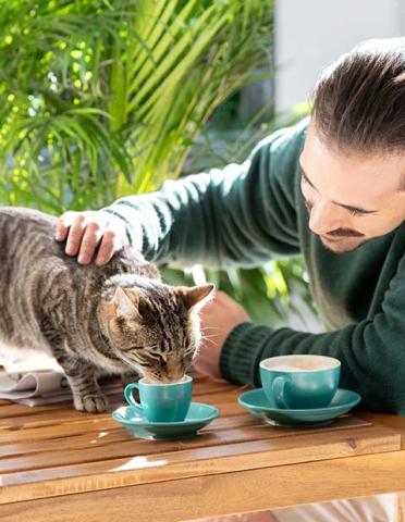 morning-coffee-with-a-cat-milk