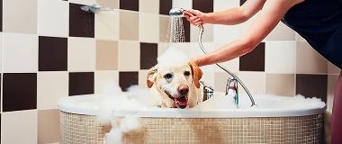Woman-Washing-Yellow-Lab-in-Bathtub