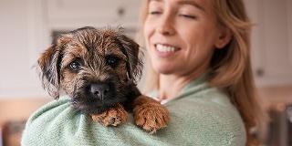 A smiling pet owner holding their healthy small dog at home, illustrating the positive lifestyle and care possible for dogs living with diabetes