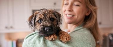 A smiling pet owner holding their healthy small dog at home, illustrating the positive lifestyle and care possible for dogs living with diabetes
